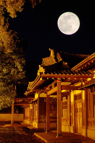 夜寺.jpg