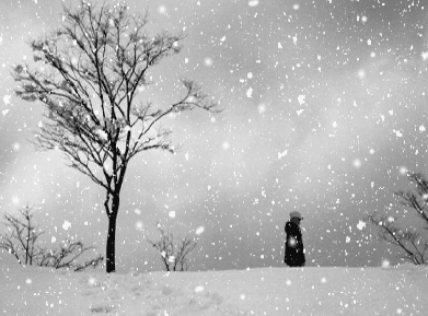 下雪.png 下雪.png
