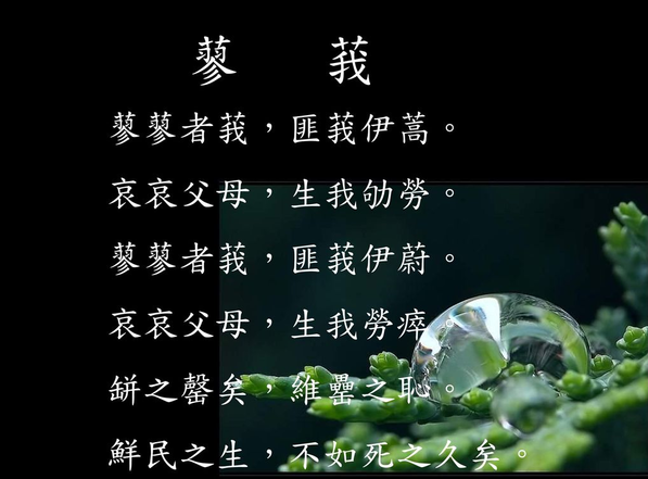 蓼莪.png 蓼莪.png