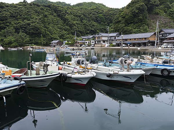 京都成生漁港.png