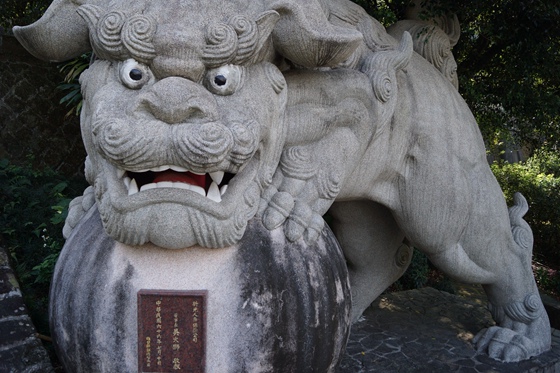 南勢角．阿公麵．圓通禪寺．台北捷運王34