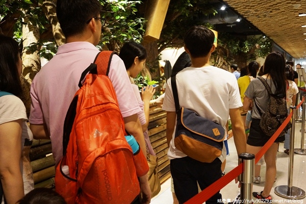 參觀！橡子共和國（吉卜力官方）台灣專賣店！02