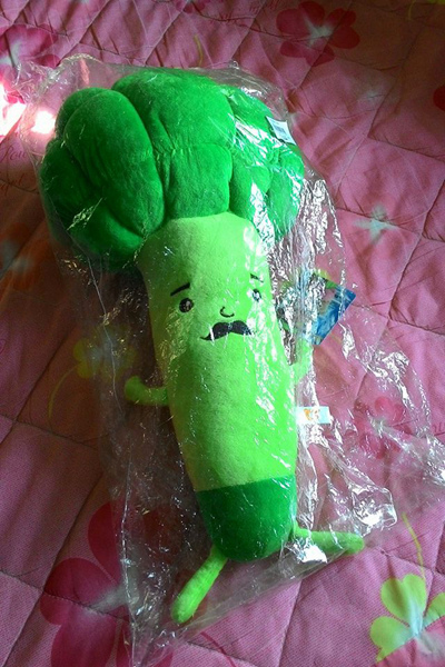 被新人送男生版的捧花了XD 被新人送男生版的捧花了XD