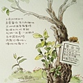 2011-0911陳大哥畫-1.jpg