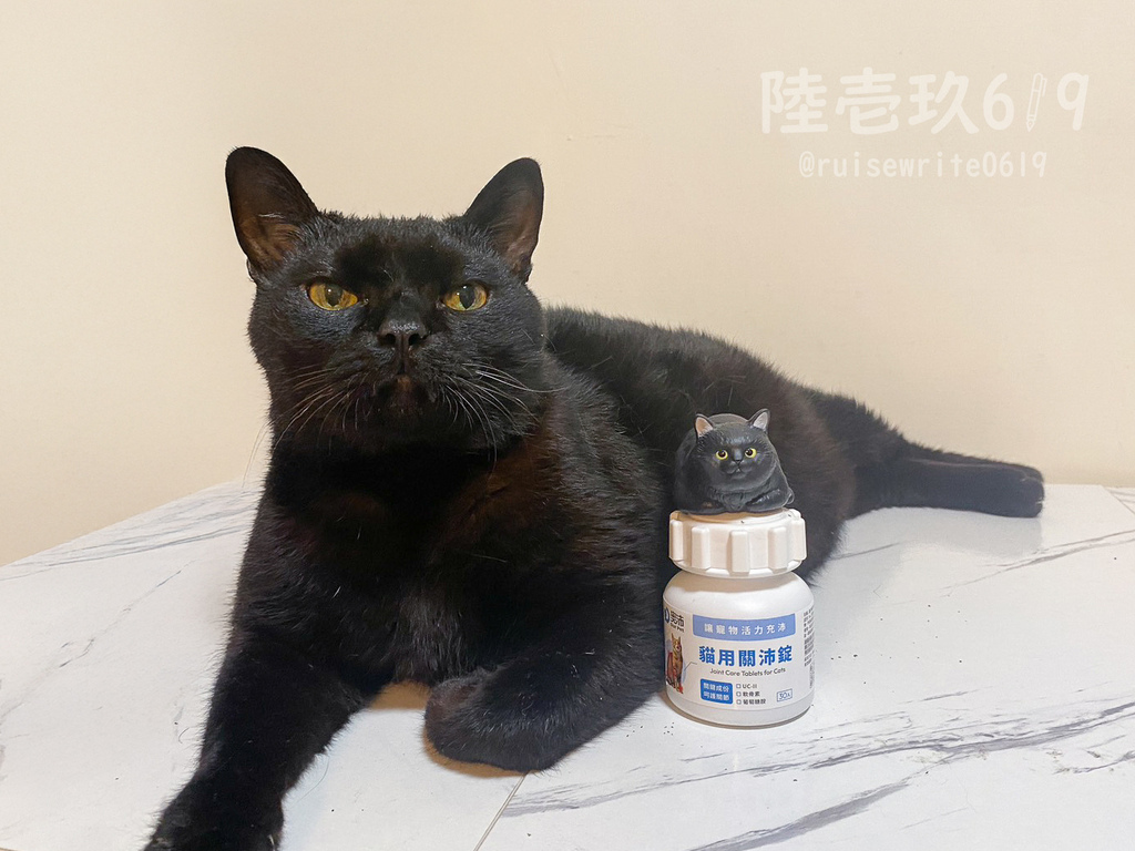 ▌開箱.貓咪保健 ▌10歲老貓的關節保養推薦!奧沛 OurP ▌開箱.貓咪保健 ▌10歲老貓的關節保養推薦!奧沛 OurP