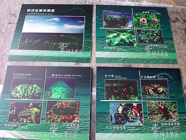 綠島柴坪生態區影像彩繪不鏽鋼板解說牌