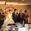 IMGP5677.jpg