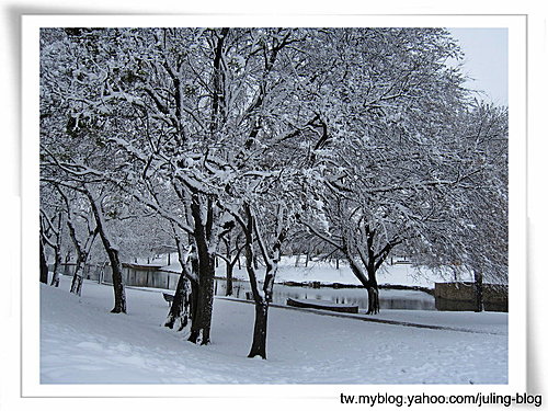 北德卅春雪20.jpg