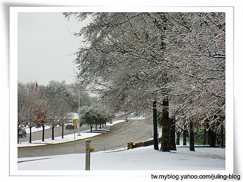 2011雪景11.jpg