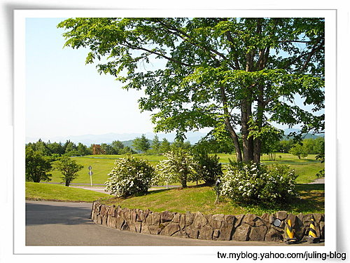 北海道之旅(二) 美瑛10.jpg