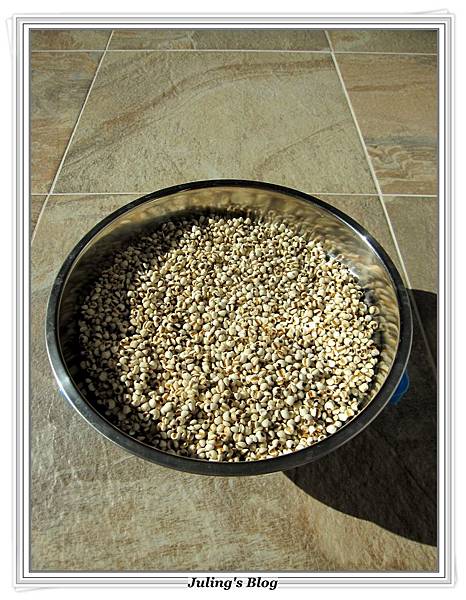 美白飲品薏仁茶做法1.JPG 美白飲品薏仁茶做法1.JPG