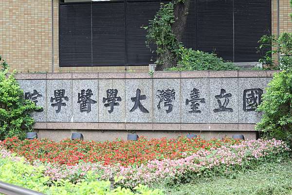 110年台 政 清 交 成 央 興 北大校系指考採計考科與110年 109年錄取分數表 桃園儒林 痞客邦