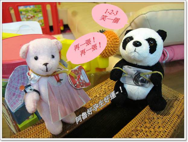 IMG_3607.JPG IMG_3607.JPG