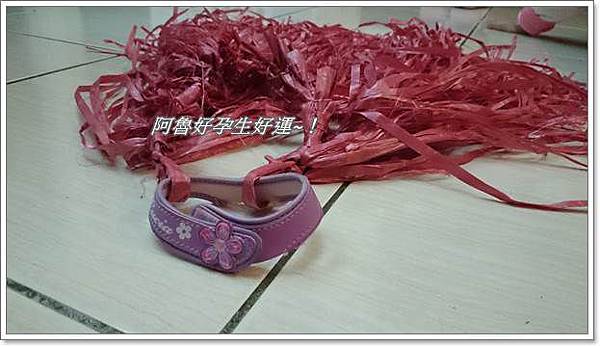 DSC_2398.JPG DSC_2398.JPG