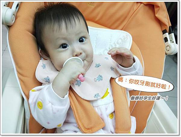 IMG20190313170645你咬牙刷就好啦.jpg IMG20190313170645你咬牙刷就好啦.jpg