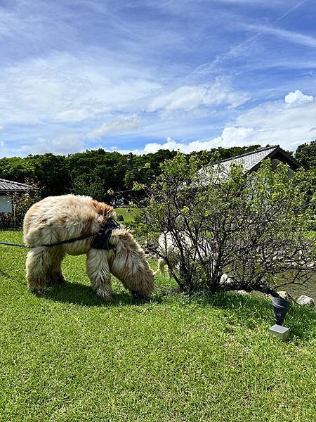 【親子旅遊】綠舞國際觀光飯店-豐富的DIY行程