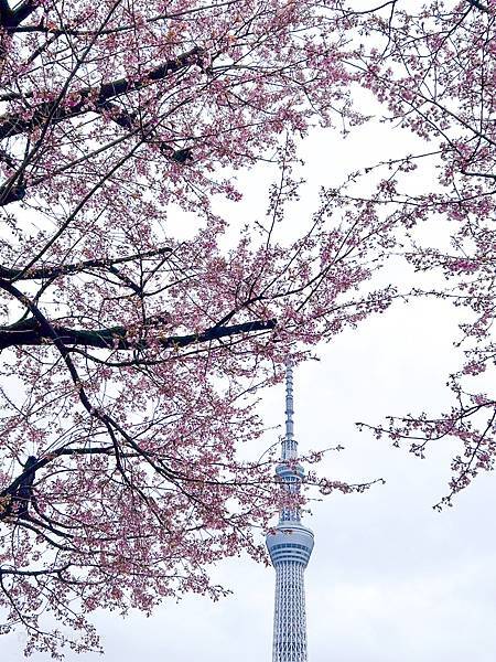 LINE_ALBUM_20240323淺草晴空塔_240402_3-5.jpg