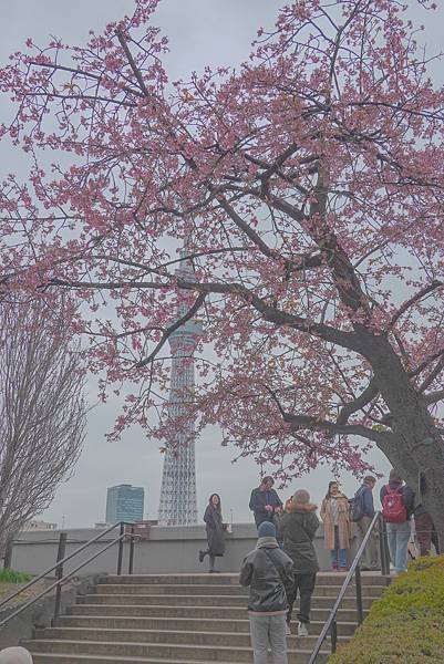 【親子旅遊】東京慢遊-淺草、隅田公園、晴空塔