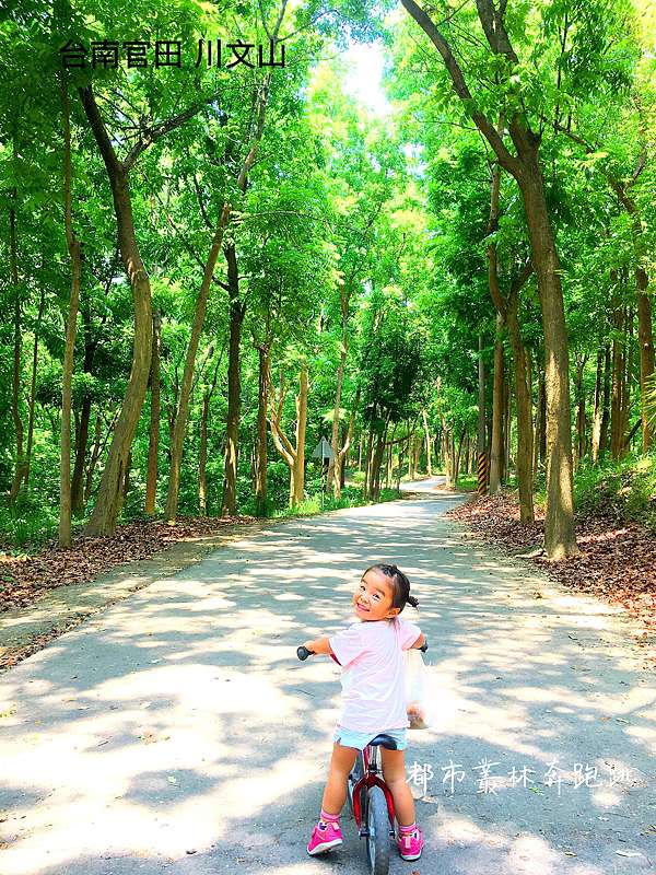 台南官田 台南的小陽明山川文山森林生態保育農場 都市叢林奔跑跳 今天的媽媽沒有極限 痞客邦