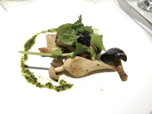 11608599530028 11608599530028