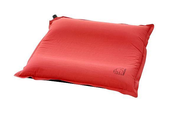 Nordisk_pillow_morgen.JPG