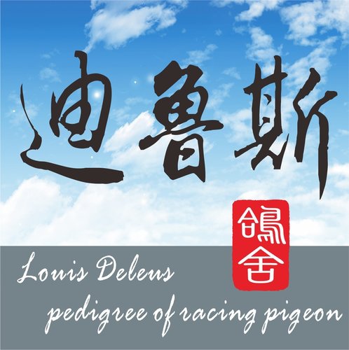 迪魯斯LOGO 迪魯斯LOGO