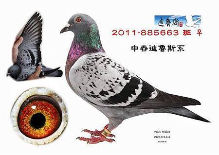 請輸入圖片標題 請輸入圖片標題