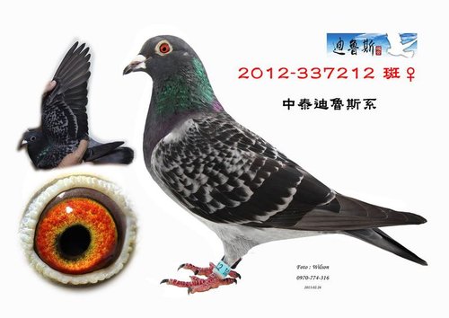 請輸入圖片標題 請輸入圖片標題