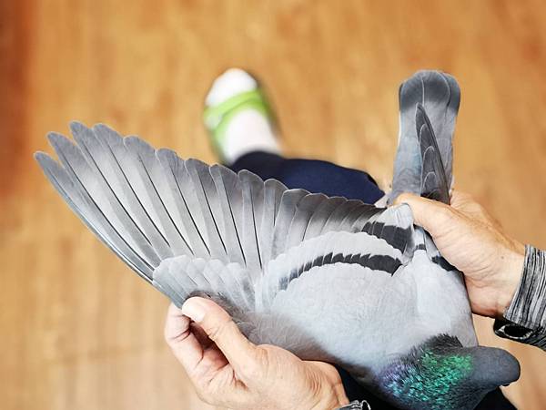 平常不過 平常不過