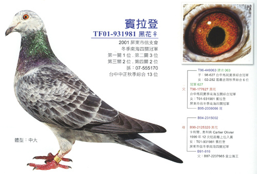 T01-931981(11).jpg T01-931981(11).jpg