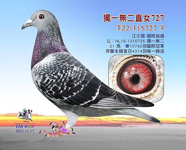 回家 回家