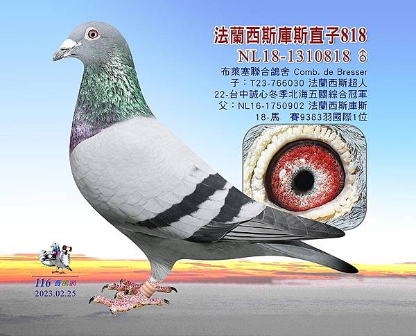 展望2024 展望2024