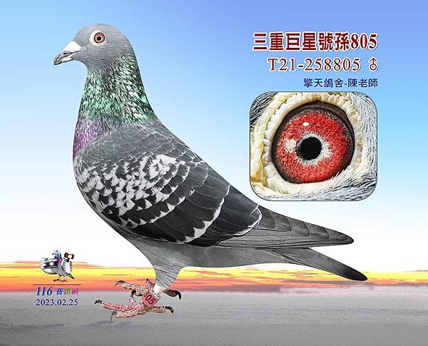 退休返鄉 退休返鄉