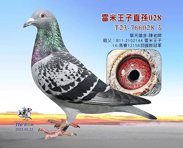 語文深度 語文深度