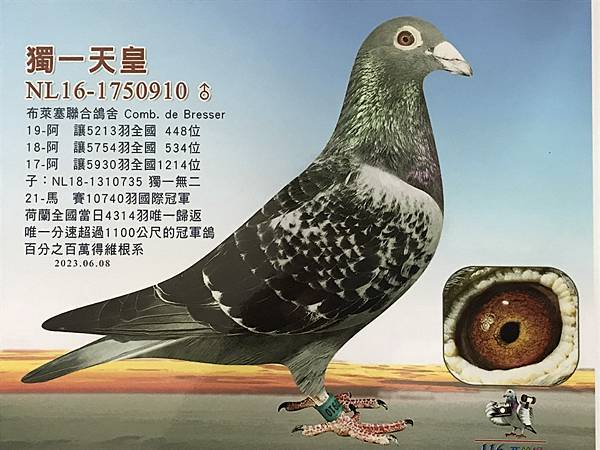 繼續向前行 繼續向前行