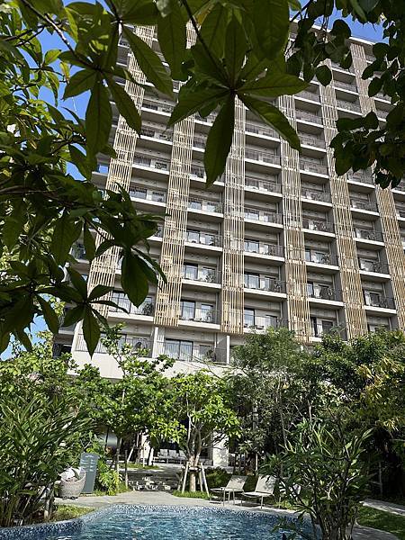 IMG_6236.jpeg IMG_6236.jpeg