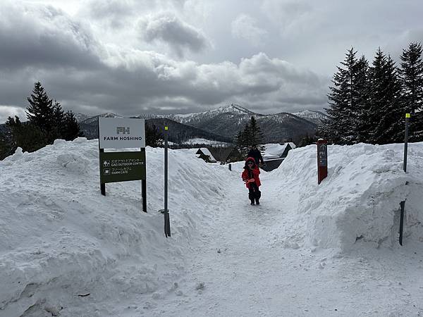 [北海道住宿]星野度假村Risonare