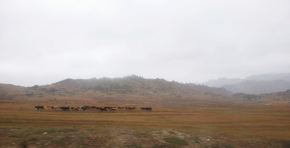 不跟團、不包車，出走：北疆、嘉峪關 & 敦煌 (Day 8)