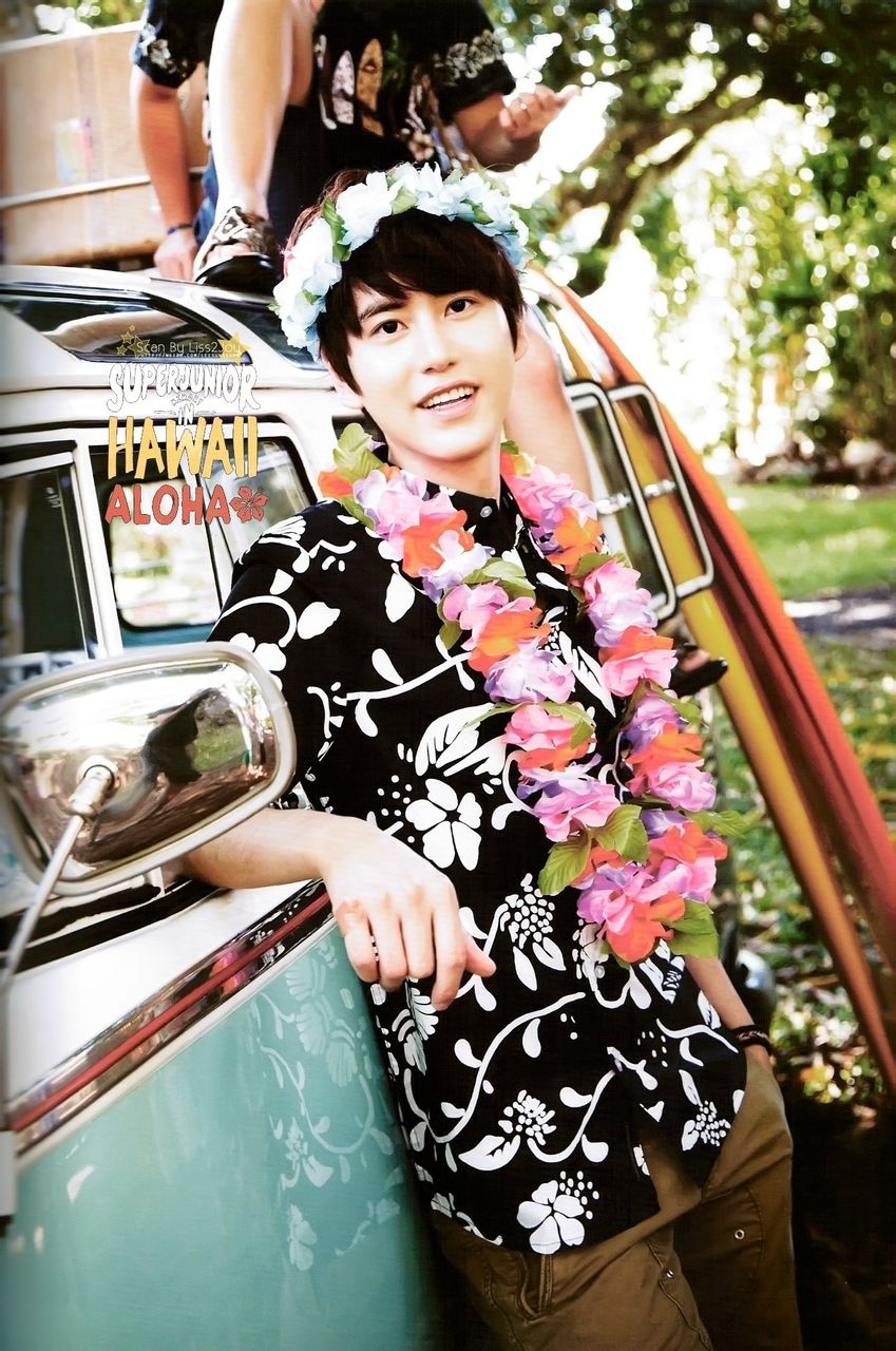 SJ MEMORY IN HAWAII ALOHA (10)