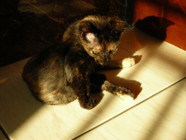 DSCN4949.JPG