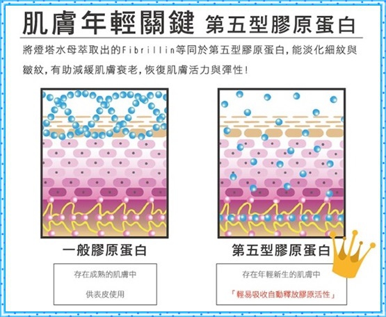 3 試用