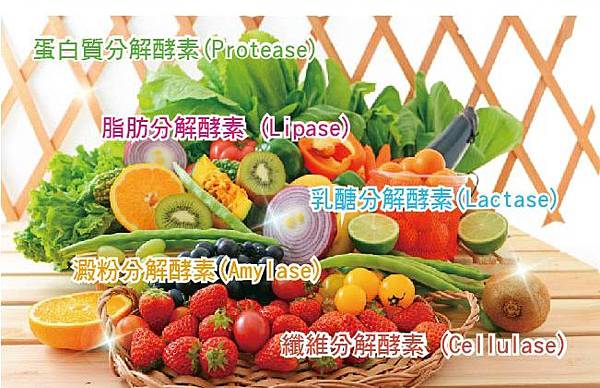 01 試用