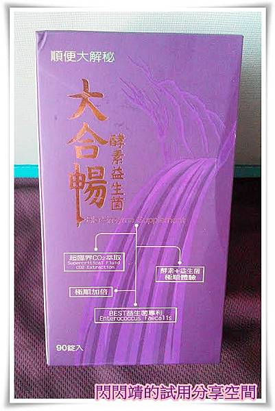 unnamed (11) 試用