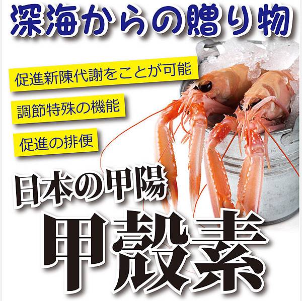 EDM03 試用