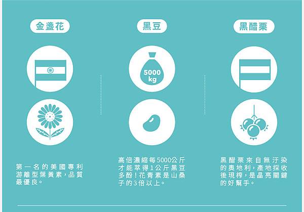 EDM03 試用