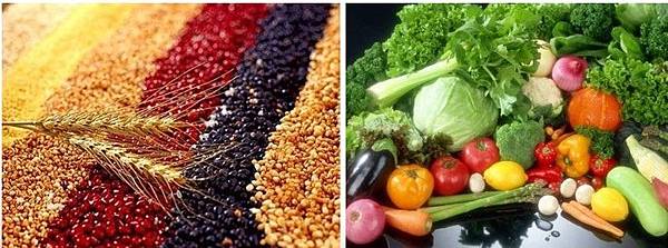 ღ膳食纖維保健作用-統整