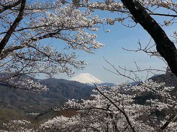 20140407 山梨縣大法師公園