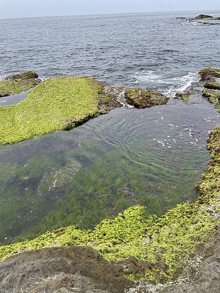 ｜美食｜基隆美食「禾月堂」基隆塔附近必吃的甜點天堂！彩虹蛋糕