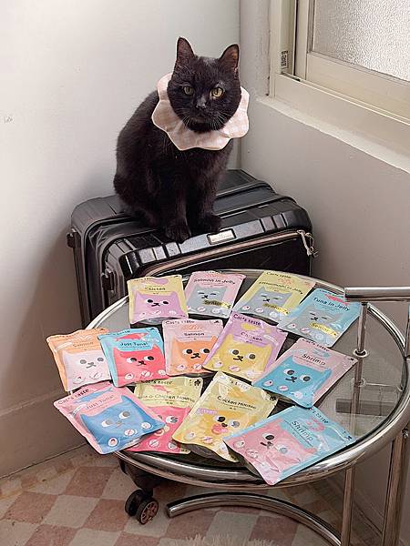 ｜貓｜Cat's Taste貓可滋味全齡綜合體驗組開箱評價！