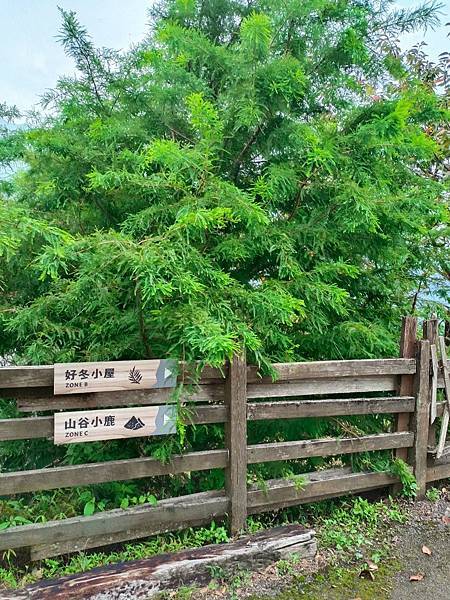 第五露 | 蟬說：霧繞 被雲霧繚繞的美景 懶人露營怎麼玩 一